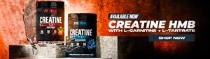 Elevate Your Physique Today
